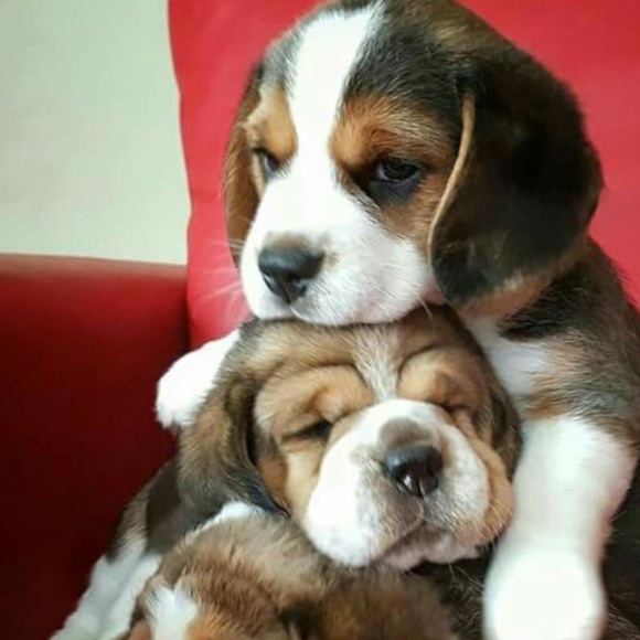 Bundle up!πππ - Picture 1 of 1